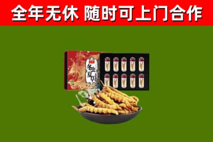 虹口回收冬虫夏草价格